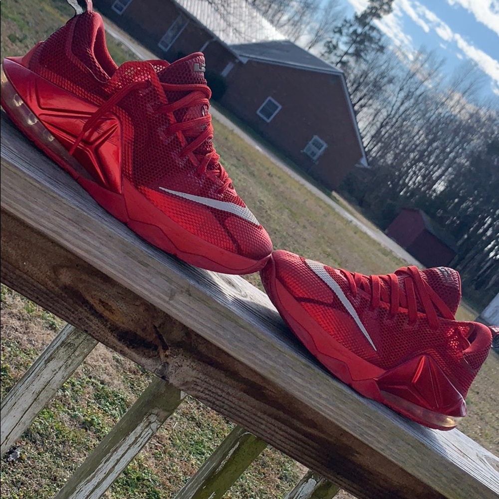 Nike LBJ 12 Lows (Lebron lows)